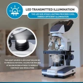 AmScope 40X-2500X LED Dijital Binoküler Bileşik Mikroskop 0.3MP Kamera - 4