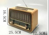 Everton Rt-868bt Bluetooth Fm-Usb-Tf Card-AUX Şarjlı Nostaljik Radyo - 1