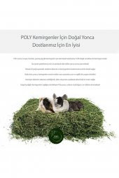 Poly Kemirgen Doğal Kuru Yonca Kemirgen Otu-tavşan-ginepig-hamster 2000 gr - 3