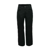 Dare 2b Apprise Erkek Kayak Pantolonu-SİYAH thumbnail 2