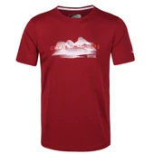 Regatta Fingal V Erkek T-Shirt-BORDO thumbnail 6