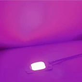 220V 50W Bitki Büyütme Ledi Klemensli  Tüm Işık Spektrumlu Fide thumbnail 7