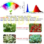 220V 50W Bitki Büyütme Ledi Klemensli  Tüm Işık Spektrumlu Fide thumbnail 8
