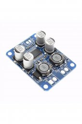 TPA3118 60W Mono Digital Ses Amfi Modül DC 12V-24V Tek Kanal Class D Amplifikatör Amfi Amplifier - 4