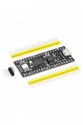 Raspberry Pi Pico RP2040 16Mb Modül  Type C Dual Core 264Kb Arm Cortex-M0+ Micro Kontrolör - 2