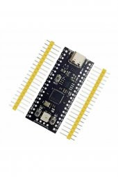 Raspberry Pi Pico RP2040 16Mb Modül  Type C Dual Core 264Kb Arm Cortex-M0+ Micro Kontrolör - 4
