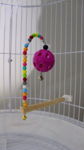 Petistera Zilli Toplu Ahşap Kuş Tüneği 13 cm - 1