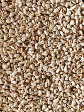 Petistera Mısır Granülü Taban Altlığı 1 kg - 1