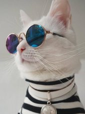 Kedi Gözlüğü 8 cm - Mavi Renk - 1