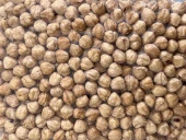 ÇAMAŞ KAVRULMUŞ FINDIK 1 KG - 3