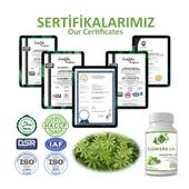 Gökçek Şifa Yoğurt Otu Llk Kapsül (CLEAVERS LLC CAPSULE) 60 Adet thumbnail 5