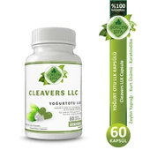 Gökçek Şifa Yoğurt Otu Llk Kapsül (CLEAVERS LLC CAPSULE) 60 Adet thumbnail 1