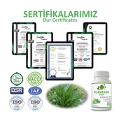Sinirliot Kdt Kapsül (PLANTAGO HVH CAPSULE) 60 Adet thumbnail 5