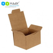 HAAY AMBALAJ 12x7x8cm Kilitli Kutu-kraft (60ADET) - 1