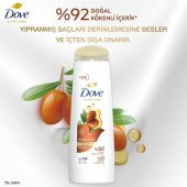 Dove 400 Ml 1/1 Arganyağı Onarıcı Bakım - 4