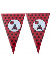 FLAMA UĞUR BÖCEKLİ 1 - 1