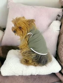 Midnight Green Atlet Köpek Kıyafeti  Köpek Elbisesi thumbnail 1