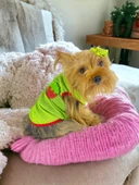 Pink Strawberry Atlet Köpek Kıyafeti  Köpek Elbisesi thumbnail 1