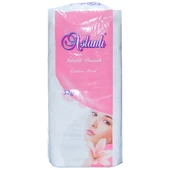 Aslanlı İdrofil Pamuk 50 Gr Paket Cotton Wool thumbnail 4