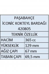 Paşabahçe iconic su bardak 6 lı su meşrubat bardağı gri 420805 - 3