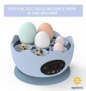 Mini Ev Tipi 7 Yumurtalık Kuluçka Makinesi Epo07 | Yumurta Kuluçka Cihazı - 7