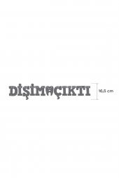 Pembe Dişim Çıktı Yazılı Banner, Diş Buğdayı, Doğum Günü Süsü, Simli Eva Banner - 2