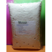 İstiridye mantar tohumu thumbnail 1