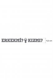 Erkek mi ? Kız mı ? Yazılı Banner , Cinsiyet Partisi, Simli Eva Banner - 2