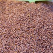 DoğuMark - Siyez Bulguru - (1 Kg) - 2