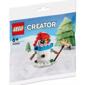 Lego Creator 30645 Kardan Adam Polybag (78 Parça) thumbnail 1