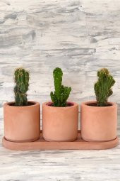 Kaktüs & Sukulent Dekoratif Beton Saksı (BİTKİSİZ) - 1