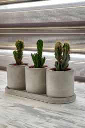 Kaktüs & Sukulent Dekoratif Beton Saksı (BİTKİSİZ) - 3