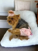 Rosie Rose Kemique's Secret Köpek İç Çamaşırı Regl Külot Don - 7