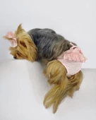 Rosie Rose Kemique's Secret Köpek İç Çamaşırı Regl Külot Don - 8