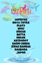 Yavru Balık Yemi ( Micron ) 1 Kg - 2