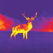 Seek Thermal CompactXR -Termal Kamera - Android MicroUSB (UT-AAA) - 4