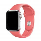 E2M CLASSIC SİLİKON APPLE WATCH KORDON 38-40-41MM YAVRUAĞZI - 1