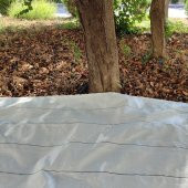 5X12 METRE ZEYTİN SERGENİ ZEYTİN TOPLAMA ÖRTÜSÜ FINDIK FISTIK DUT TOPLAMA FİLESİ BEYAZ HASAT TABAN ÖRTÜSÜ - 3