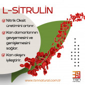 TİTAN - Taurin, L-Arjinin, L-Sitrulin, C Vitamini,Magnezyum, Çinko İçeren, Sıvı Takviye Edici Gıda - 3