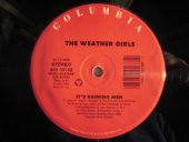 Plak - The Weather Girls – It's Raining Men / I'm Gonna Wash That Man Right Outa My Hair  alithestereo - 2
