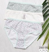 BAYAN KÜLOT-BİG SİZE (3li Paket) - 1