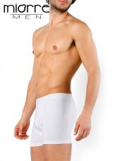 Modal Boxer thumbnail 2