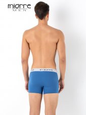 Erkek Boxer - 4