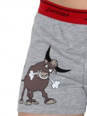 Erkek Çocuk Boxer - 4