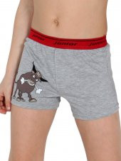 Erkek Çocuk Boxer - 1