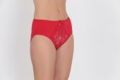 Dantel ve Fiyonk Detaylı Kadın Günlük Külot Kırmızı thumbnail 2