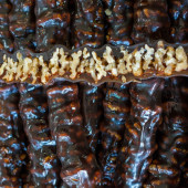 DoğuMark - Cevizli Köme (1 Kg) - 2