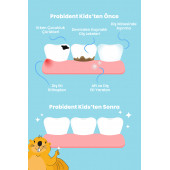 Probident Aktif Probiyotikli Üzüm Çekirdeği Özüt İlaveli Doğal Elma Aromalı Kids Tanışma Paketi - 4