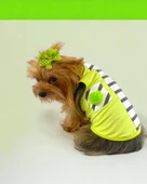 Lime Fuzz Atlet Köpek Kıyafeti  Köpek Elbisesi - 1