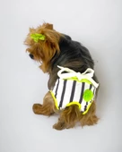 Lime Fuzz Kemique's Secret Köpek İç Çamaşırı Regl Külot Don - 3